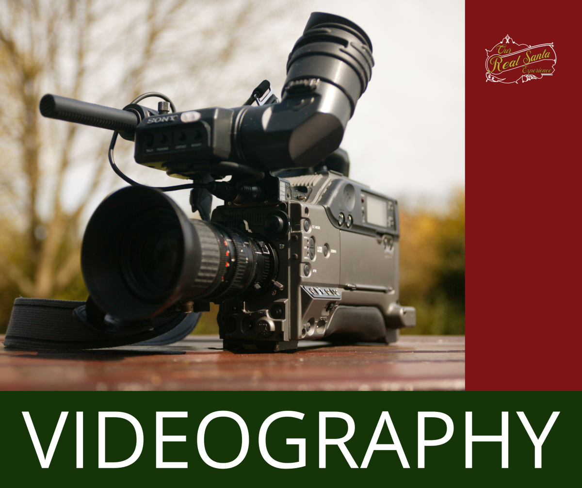 Professional Videography Footage 